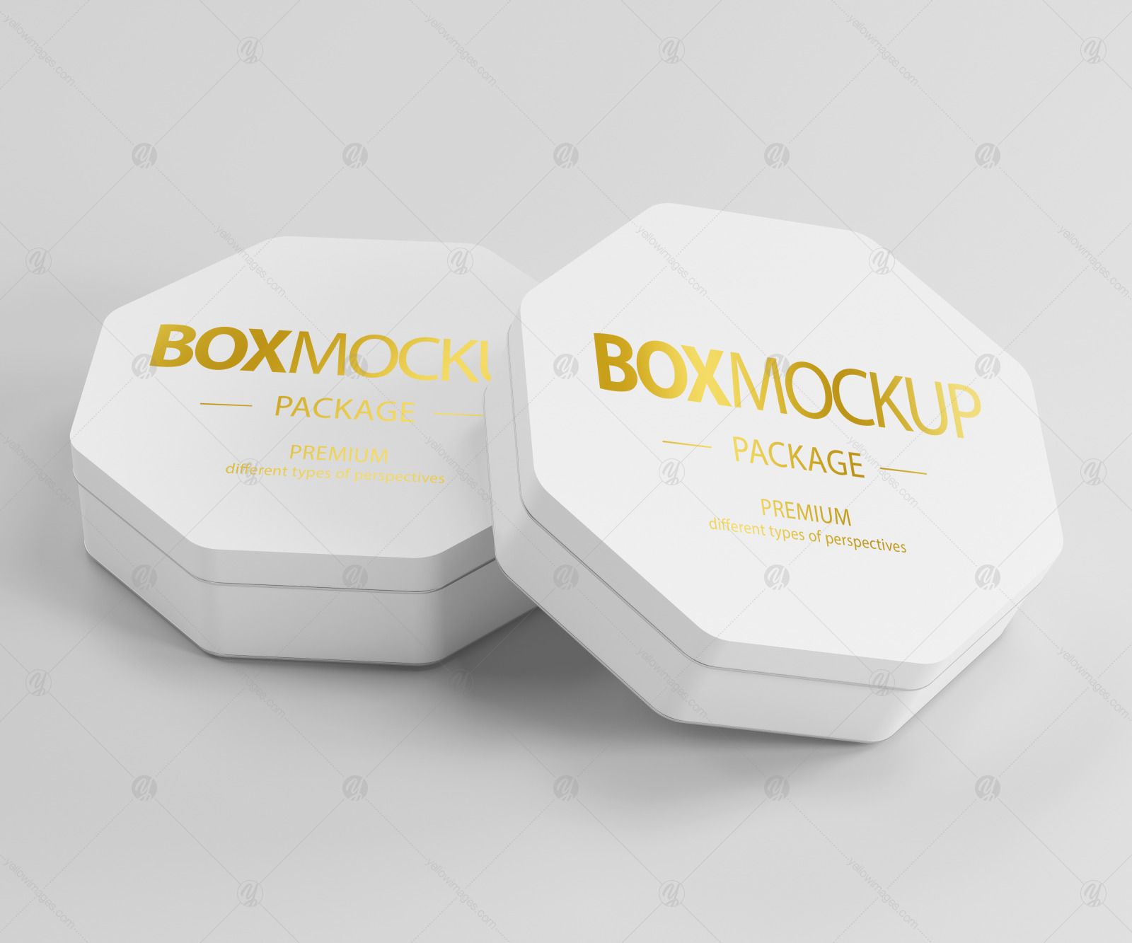 Box Package Mockup