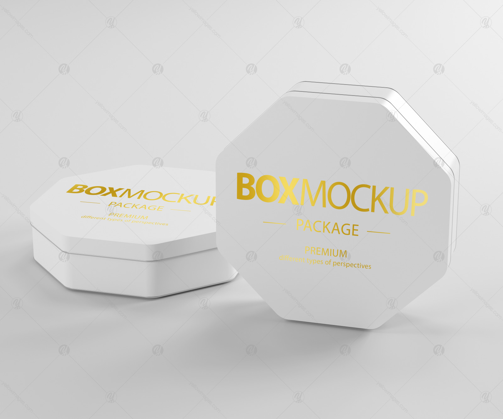 Box Package Mockup