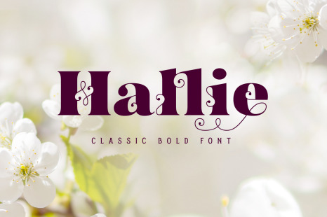 Hallie - Bold Classic Font - Typography logo