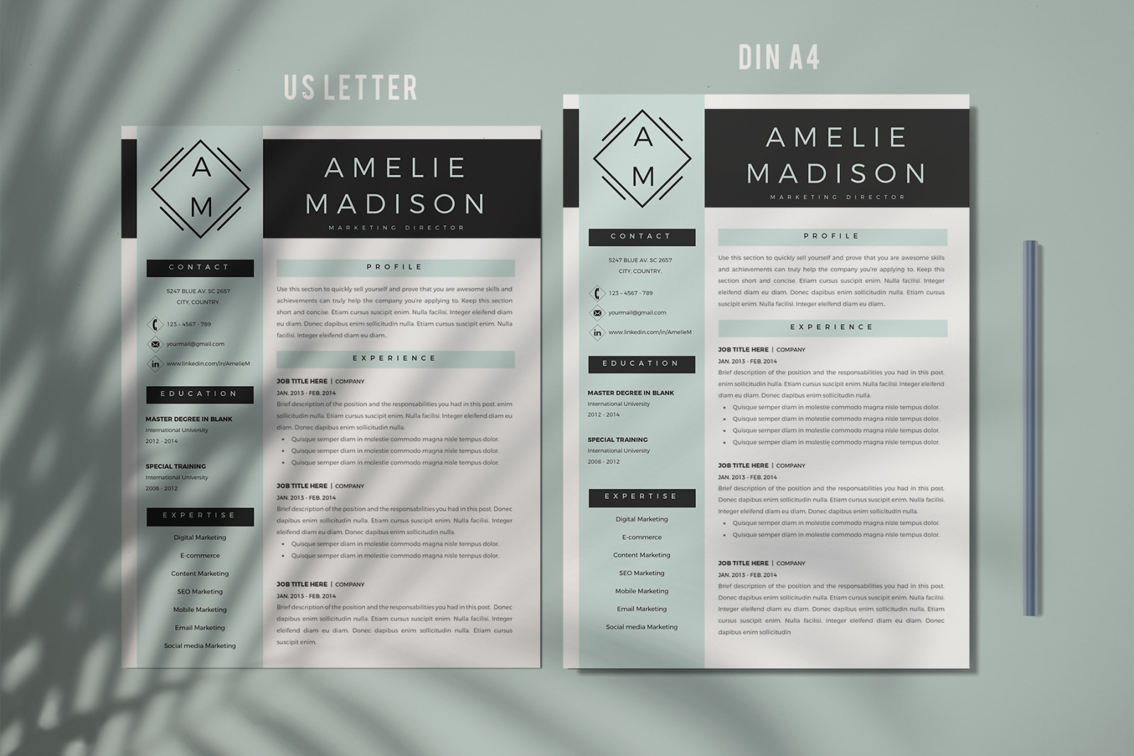 Marketing Resume Template for MS Word &amp; Pages. Resume with logo + Cover Letter format + References