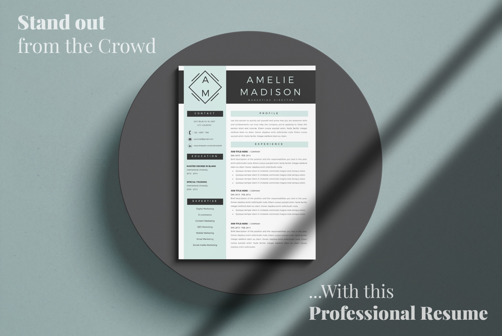 Marketing Resume Template for MS Word &amp; Pages. Resume with logo + Cover Letter format + References