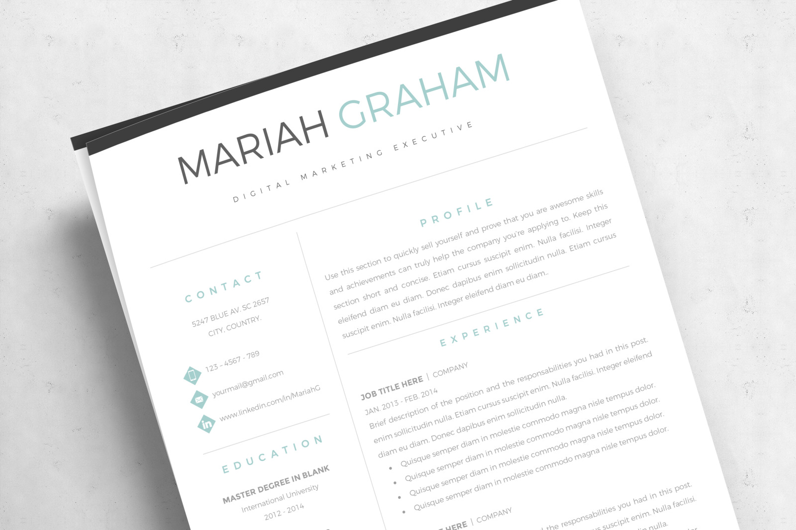 Professional &amp; Modern Resume, CV Template. Marketing Resume + Matching Cover letter and References