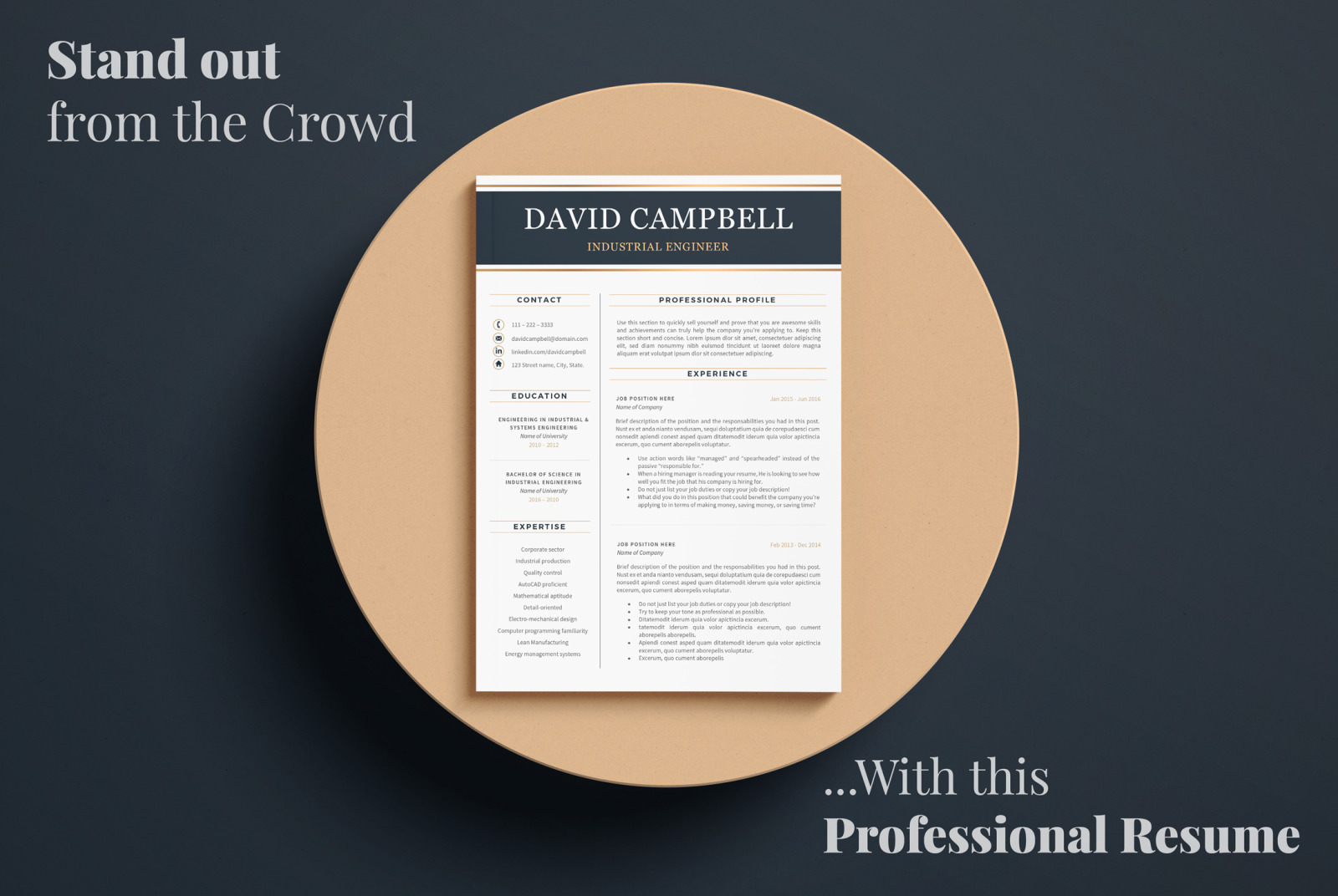 Professional Resume Template for Engineers. Engineering Resume, CV + Cover Letter + References