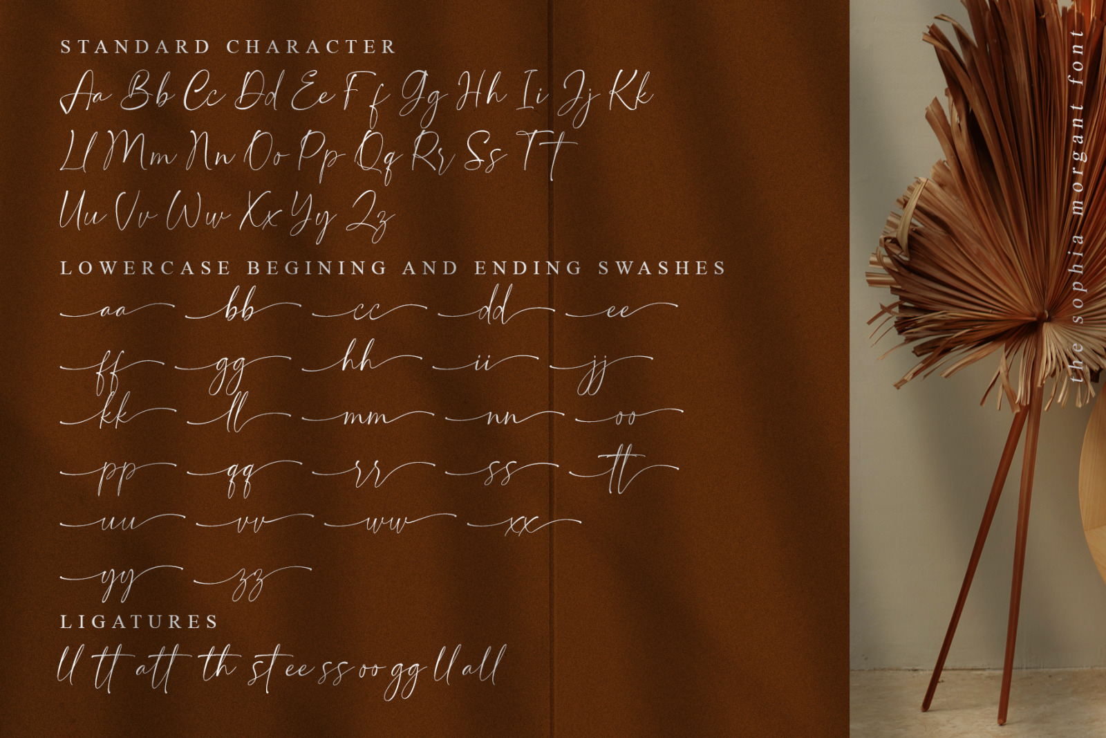 Sophia Morgant // Modern Calligraphy Sophia Morgant // Modern Calligraphy