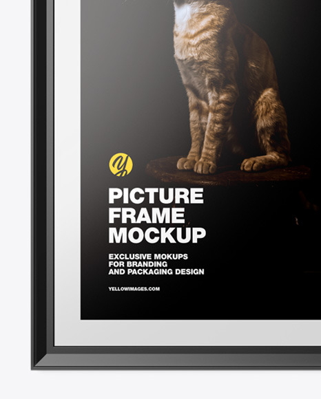 Glossy Picture Frame Mockup