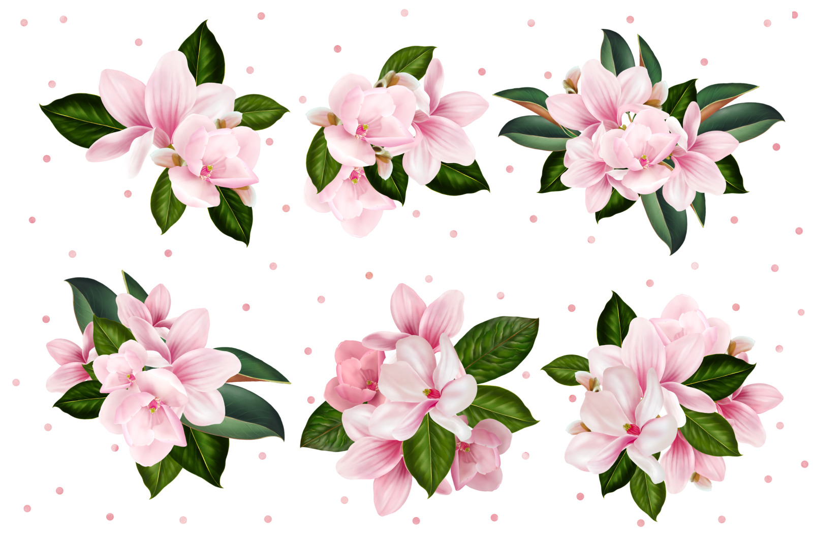 Magnolia Digital Flowers Magnolia Digital Flowers