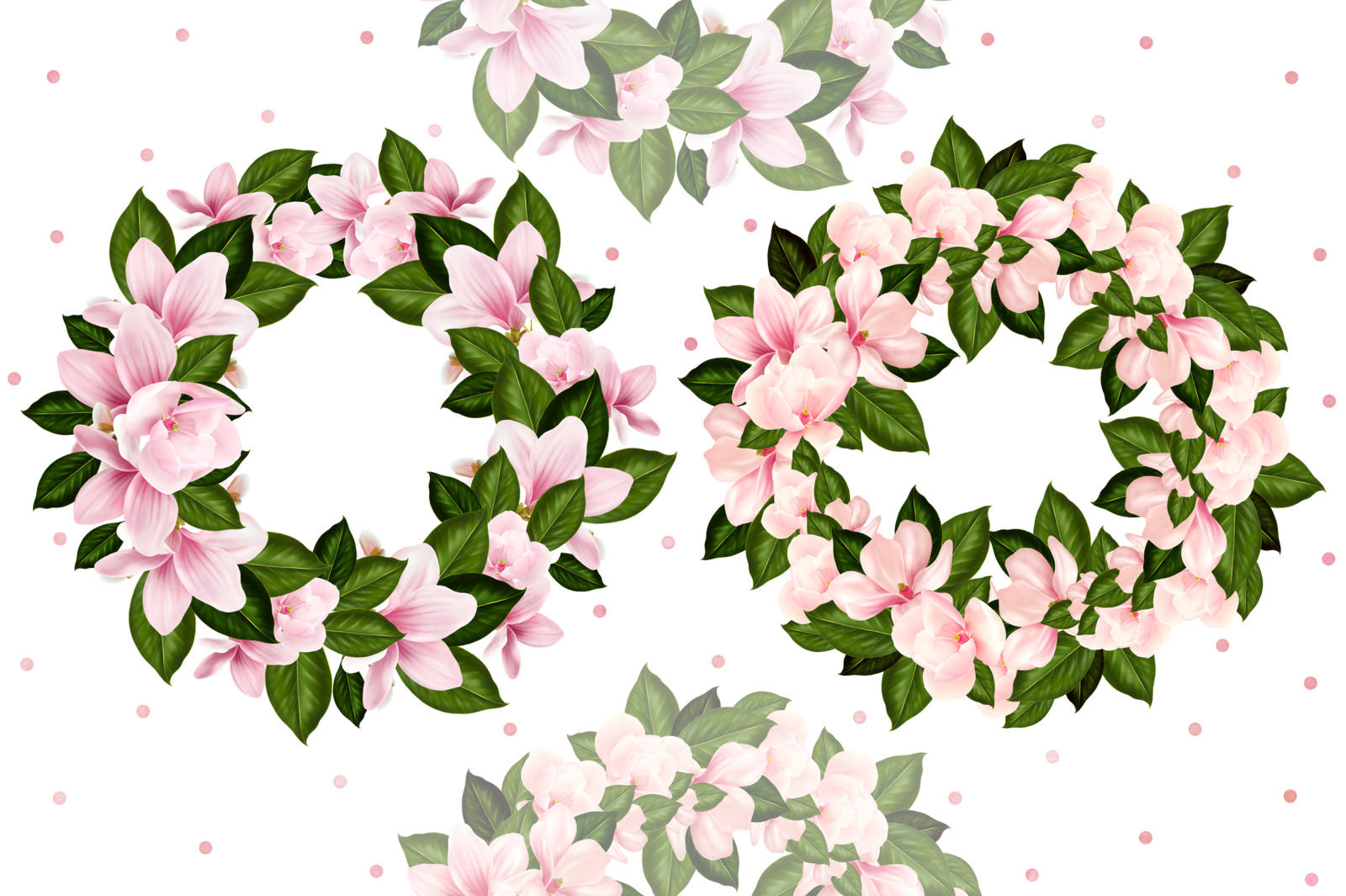 Magnolia Digital Flowers Magnolia Digital Flowers