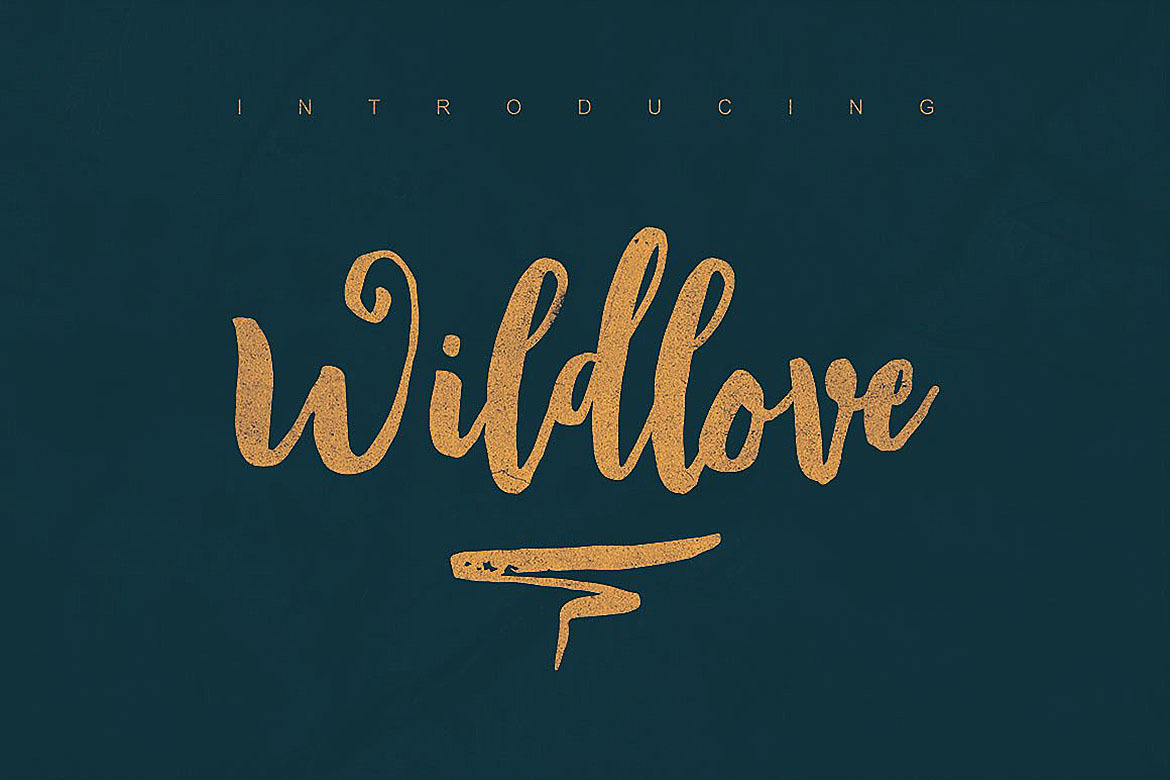 Wildlove Script Font Wildlove Script Font