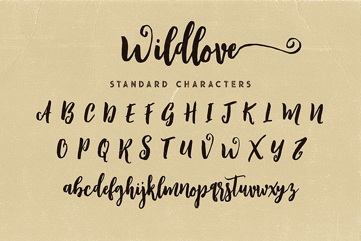 Wildlove Script Font Wildlove Script Font