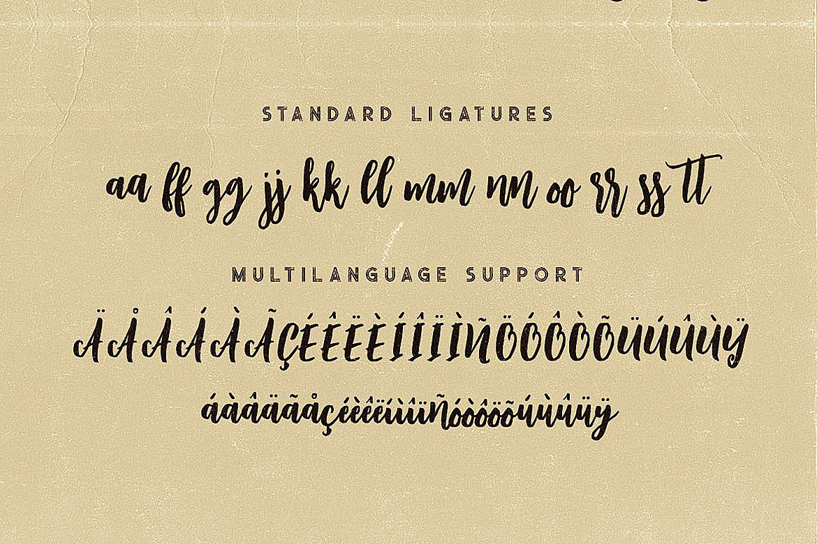 Wildlove Script Font Wildlove Script Font