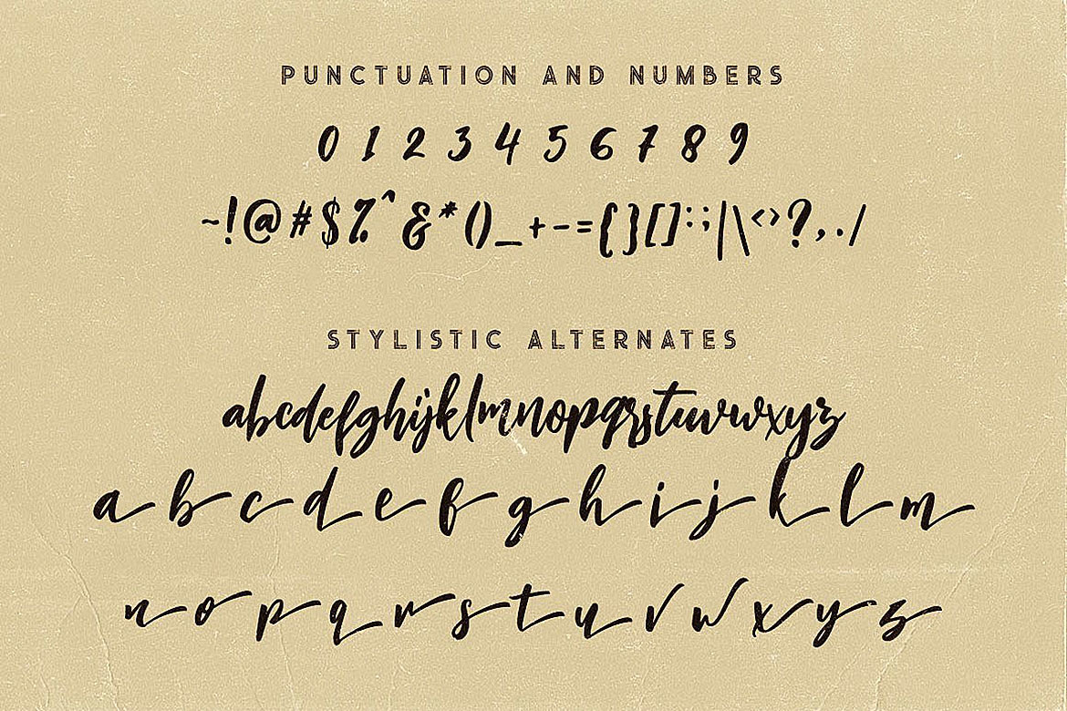 Charlie Script Font Charlie Script Font