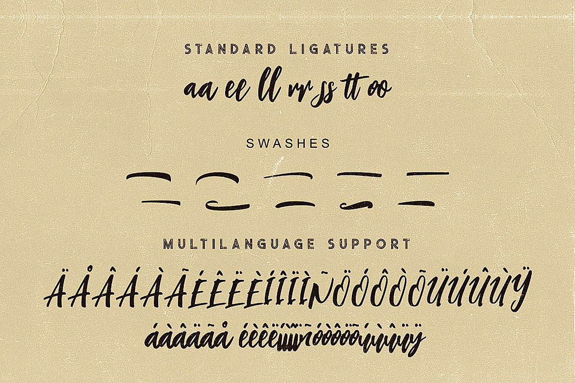 Charlie Script Font Charlie Script Font