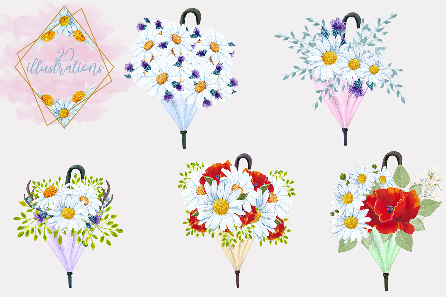 Romantic Daisy Collection II