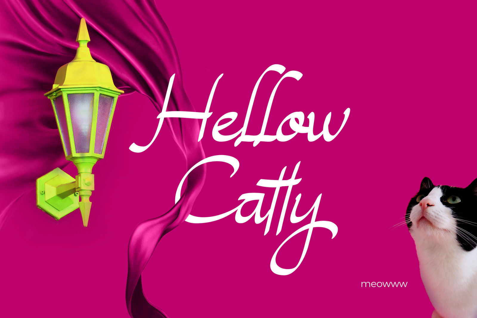 Magenta Rose Font Magenta Rose Font