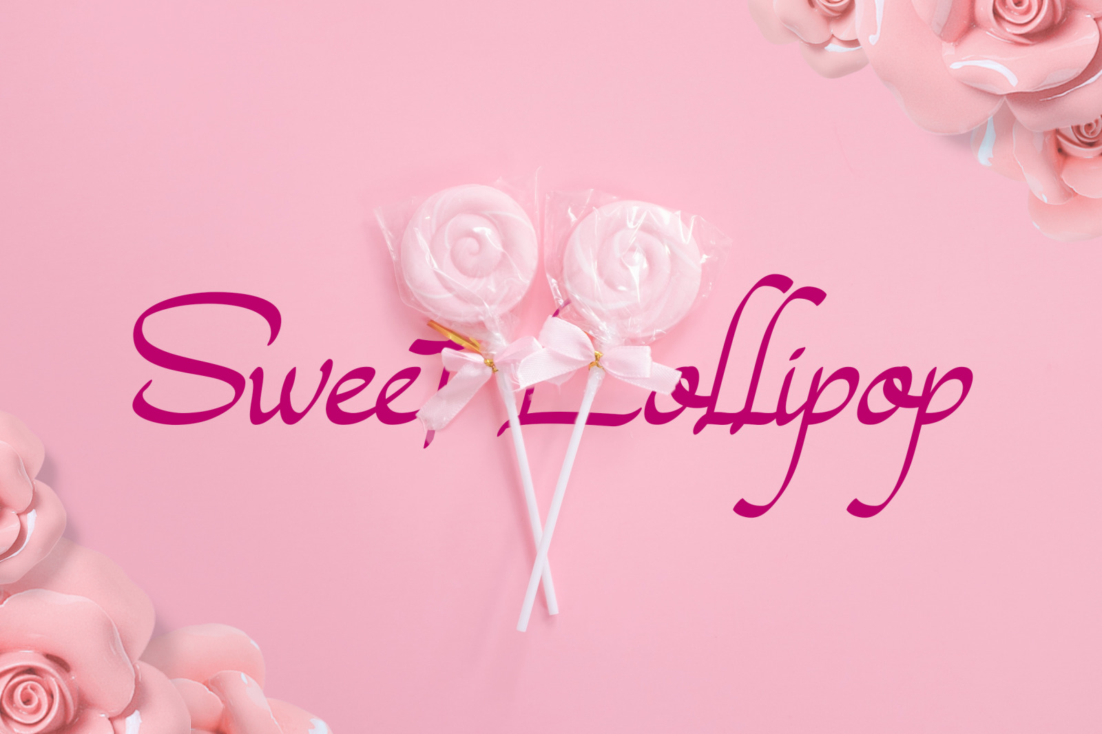 Magenta Rose Font Magenta Rose Font