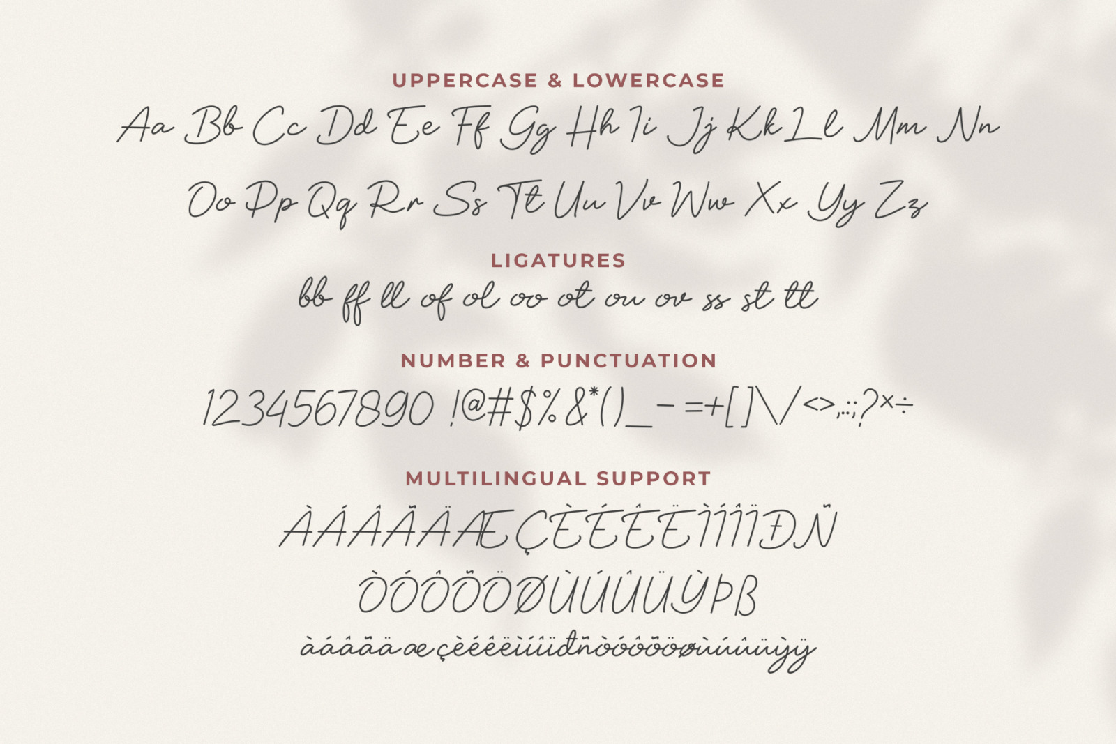 Soul Of You - Modern Script Font