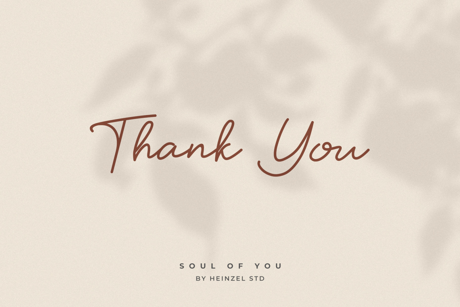 Soul Of You - Modern Script Font