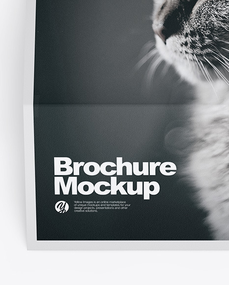 Paper Brochure Mockup