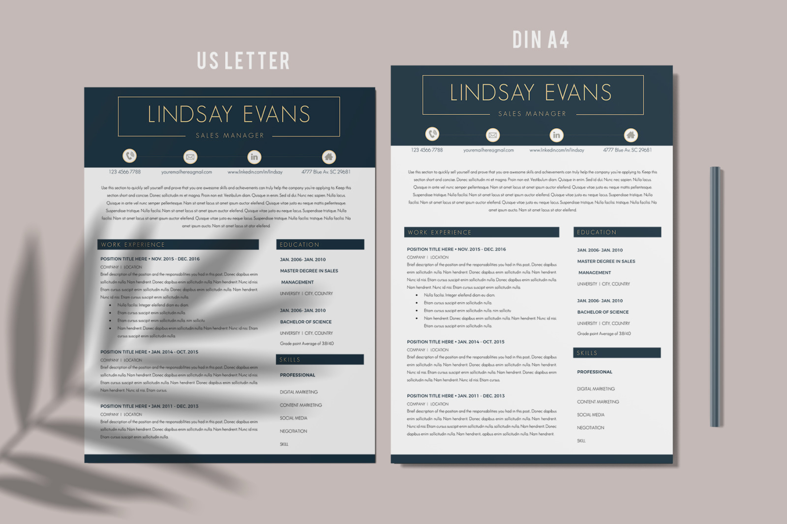 Sales Manager Professional Resume, CV template + Cover Letter template + References Template