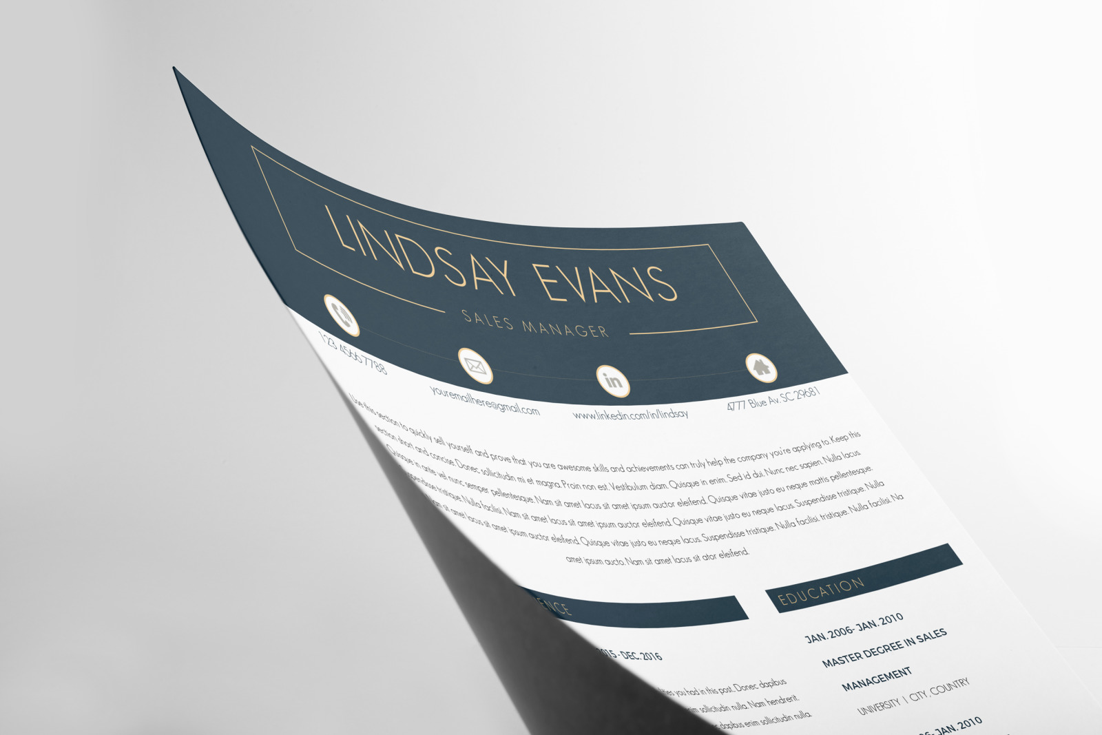 Sales Manager Professional Resume, CV template + Cover Letter template + References Template Sales Manager Professional Resume, CV template + Cover Letter template + References Template