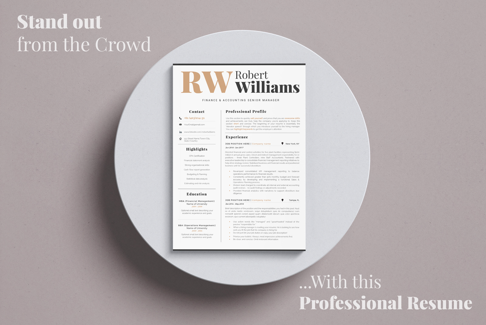 Accountant Sales Resume Template + Cover Letter format and References for MS Word and Mac Pages