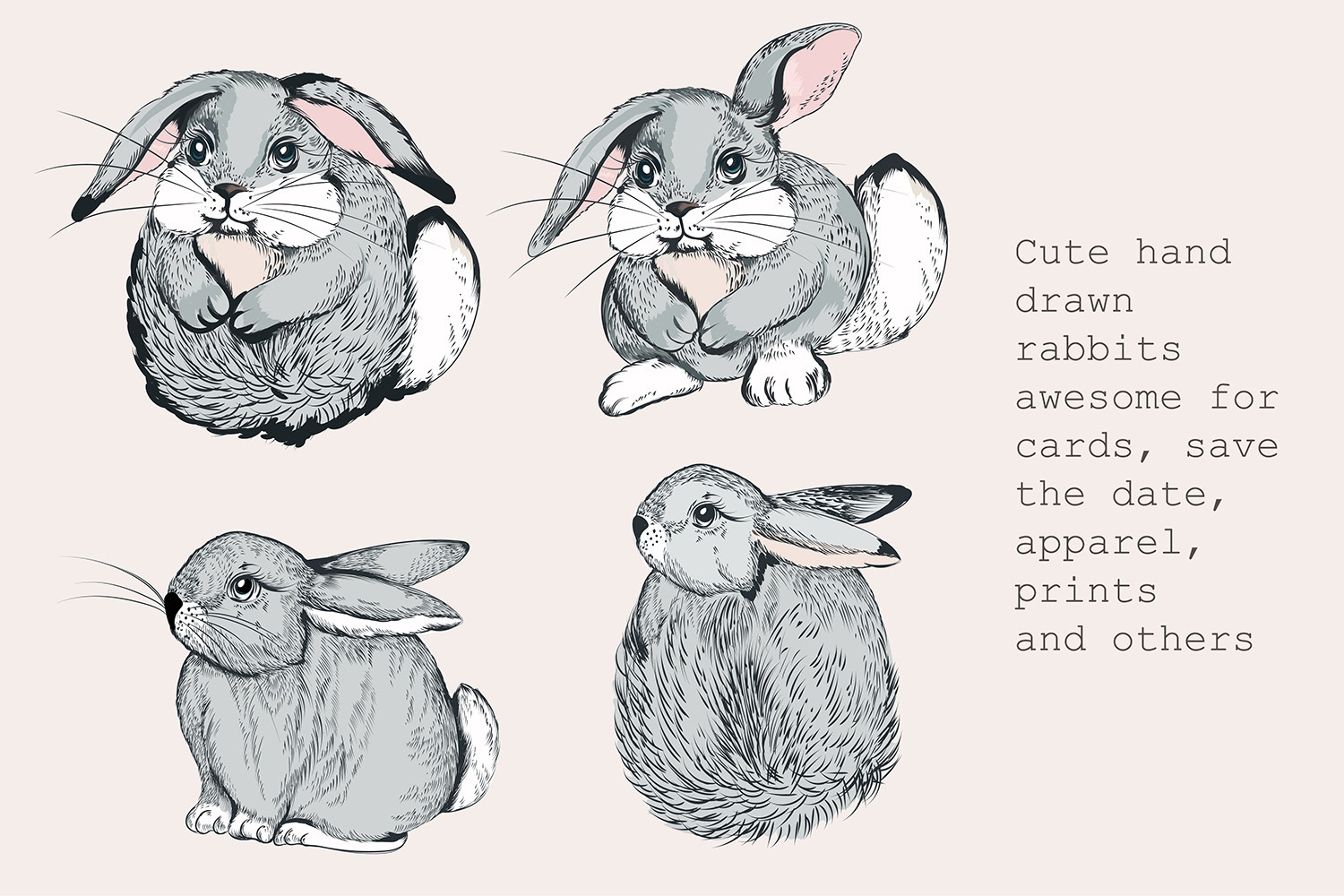 Pretty bunnies vector illustrations set Pretty bunnies vector illustrations set