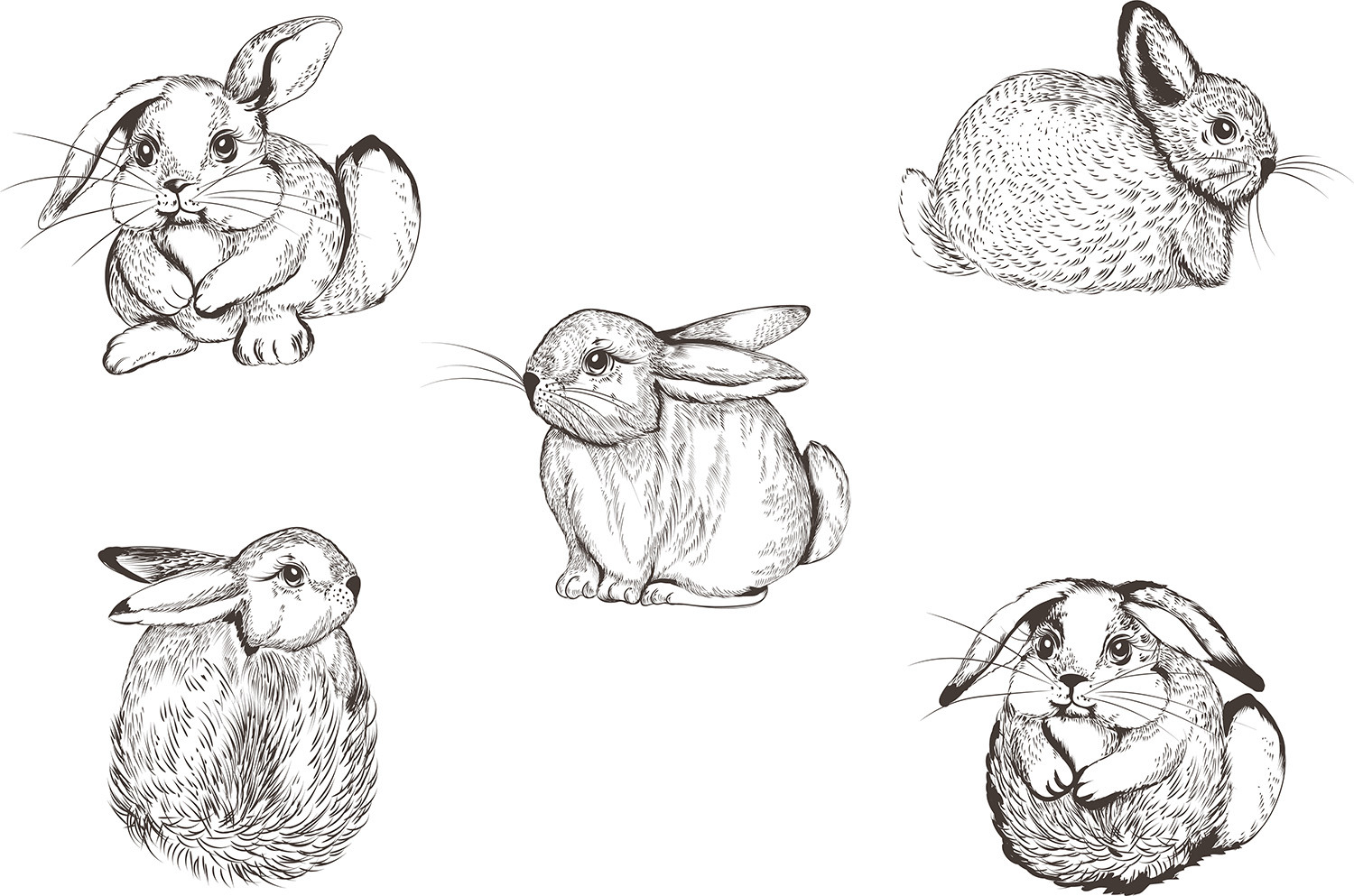 Pretty bunnies vector illustrations set