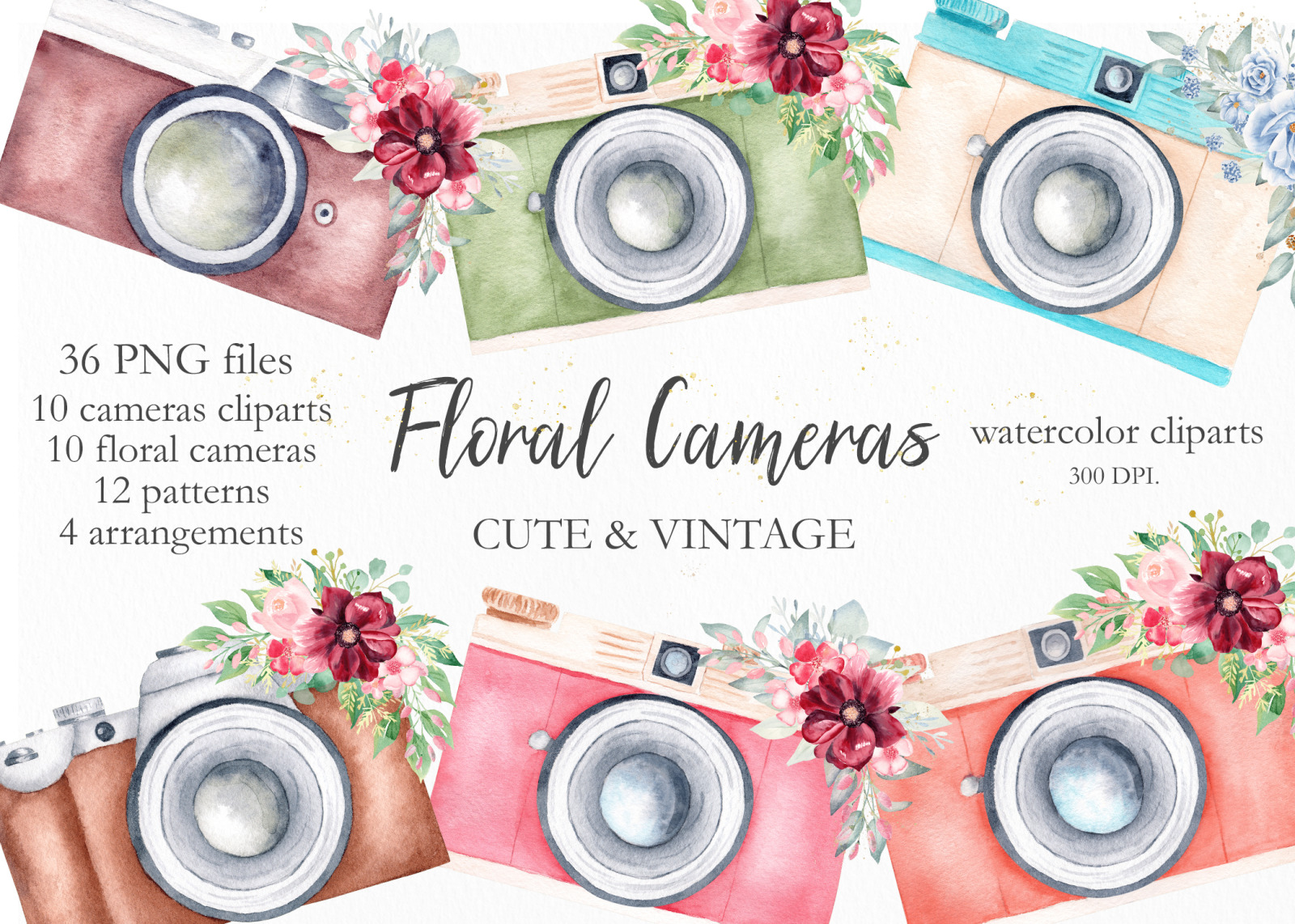 Watercolor Vintage Cameras Collection