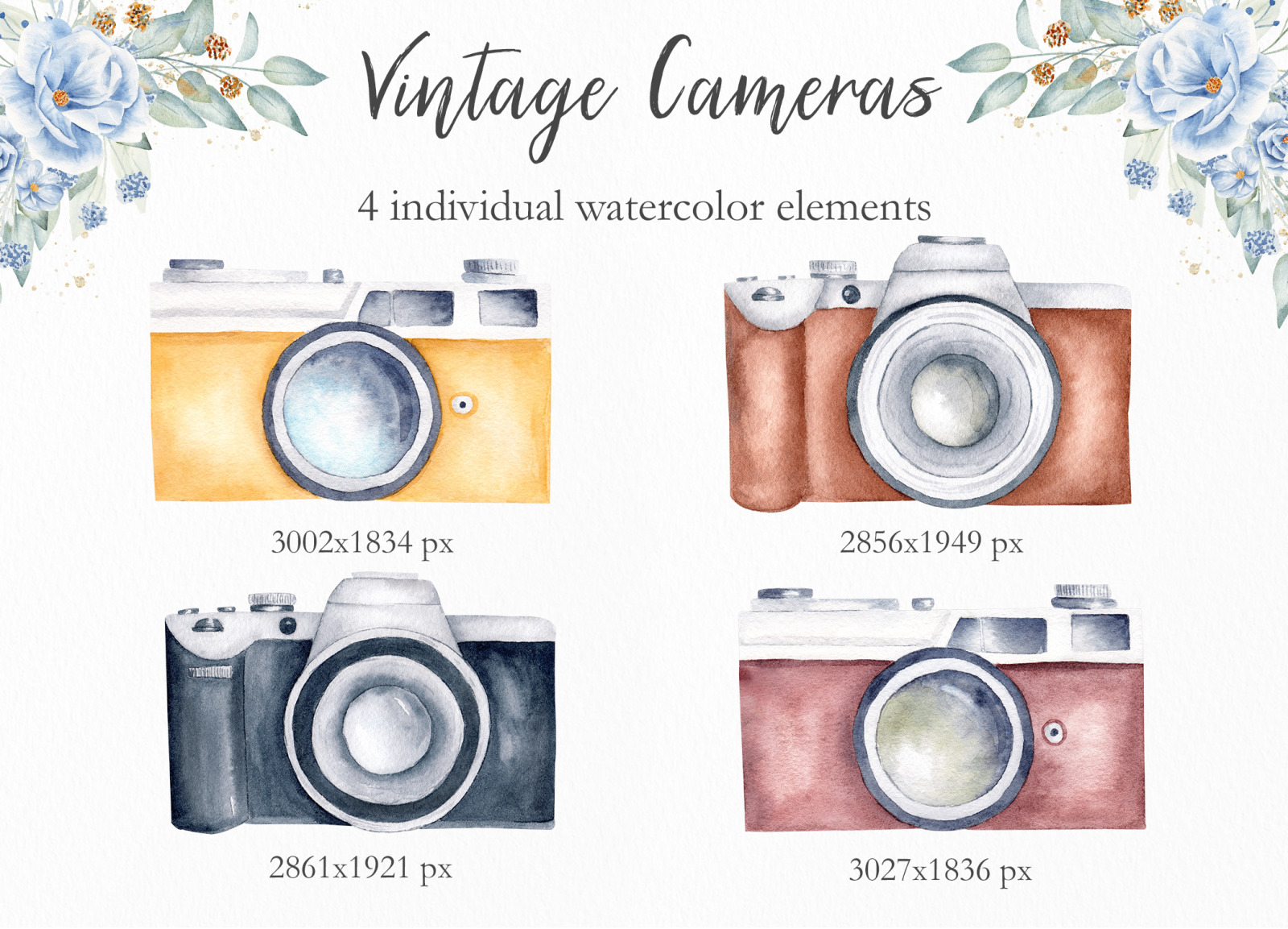 Watercolor store Vintage Cameras Yard Cards- UV High resolution Coroplast printing. HALF SHEET