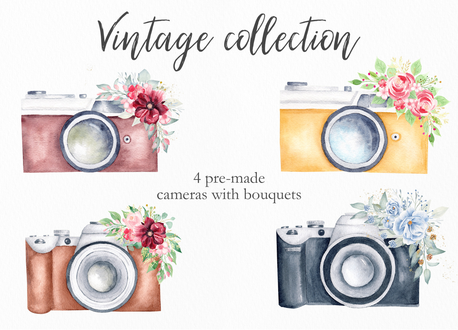 Watercolor Vintage Cameras Collection