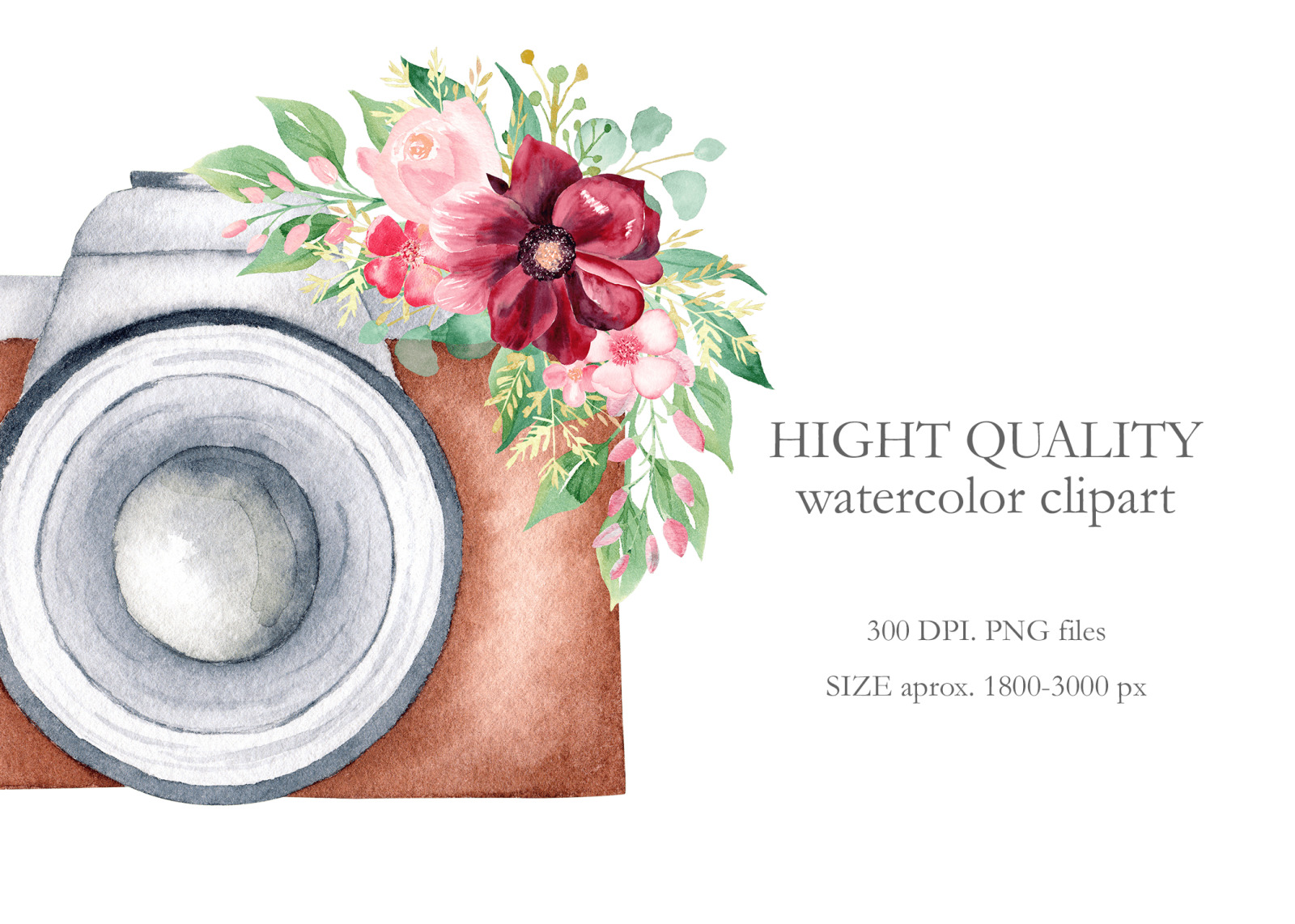 Watercolor Vintage Cameras Collection Watercolor Vintage Cameras Collection