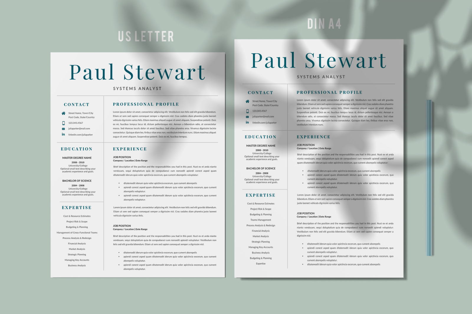 Professional Resume for Word and Pages. Resume + Cover Letter + References + Career tips + icon set