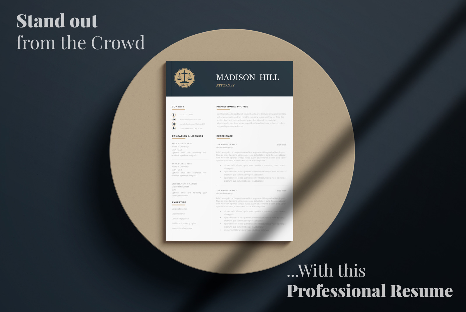 Attorney Resume, CV. Lawyer Resume Template + Legal Cover Letter + References + Tips