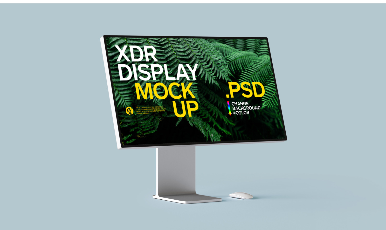 XDR DISPLAY MOCKUP XDR DISPLAY MOCKUP