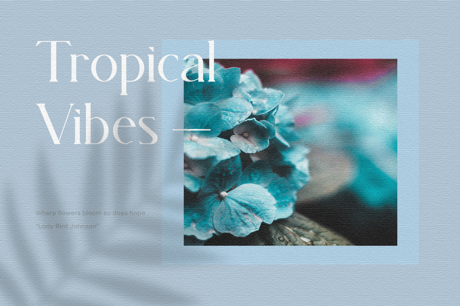 Magnita - Serif Font Magnita - Serif Font