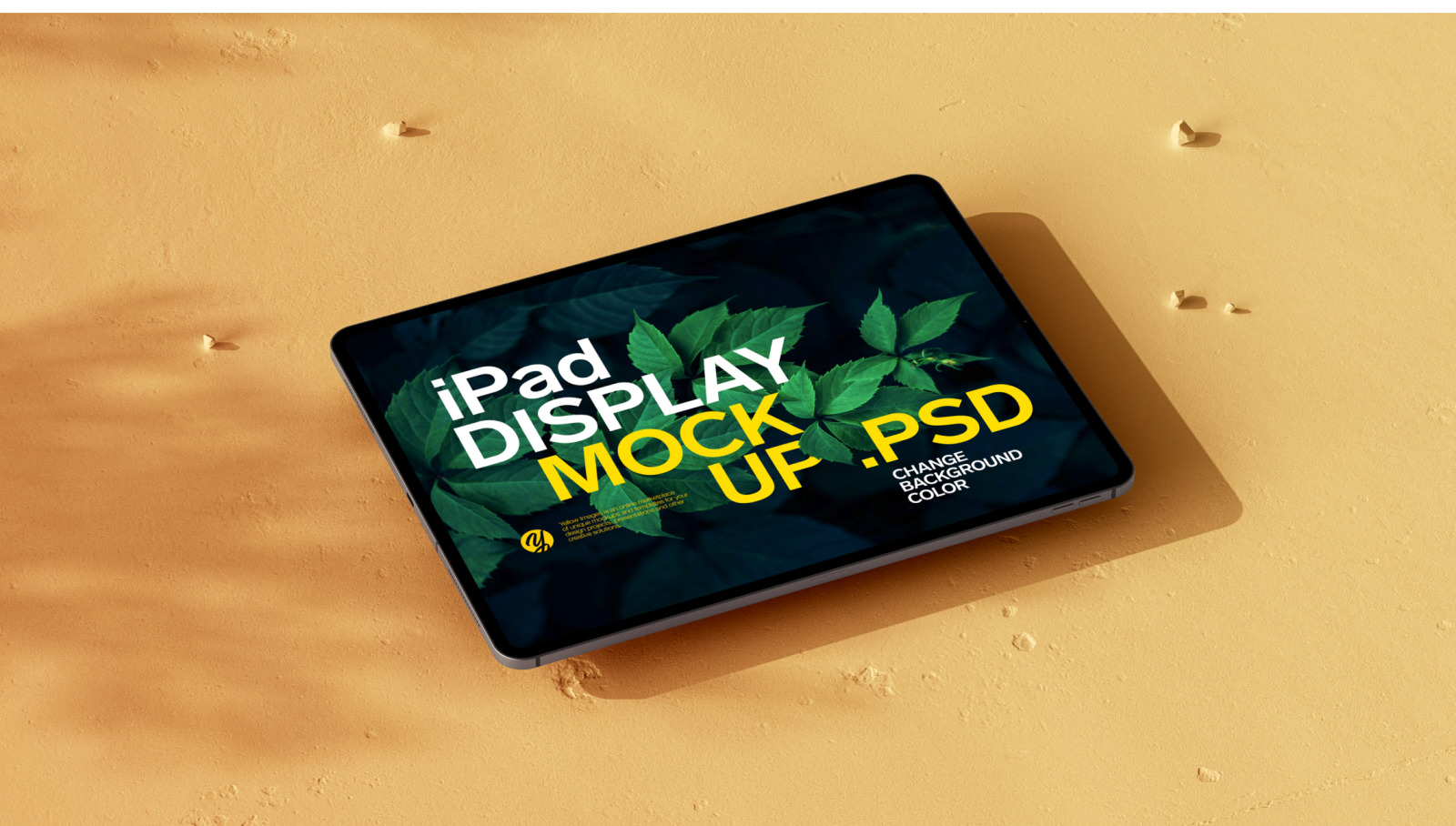 iPad Display Mockup