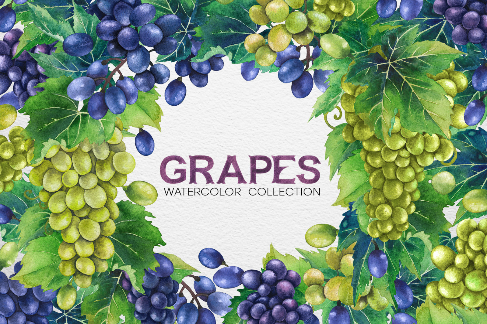 Watercolor Grapes