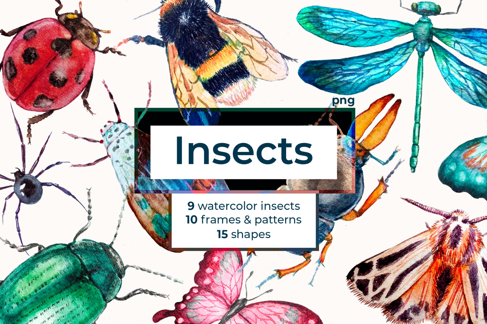 Watercolor Insect Clipart collection