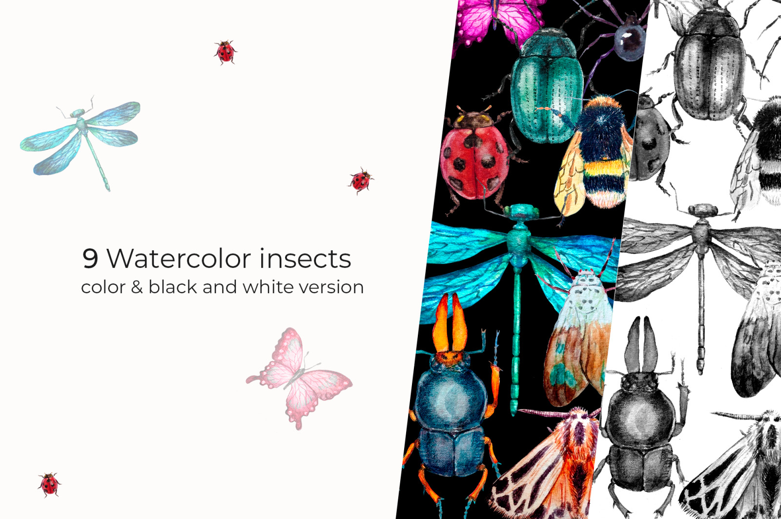 Watercolor Insect Clipart collection