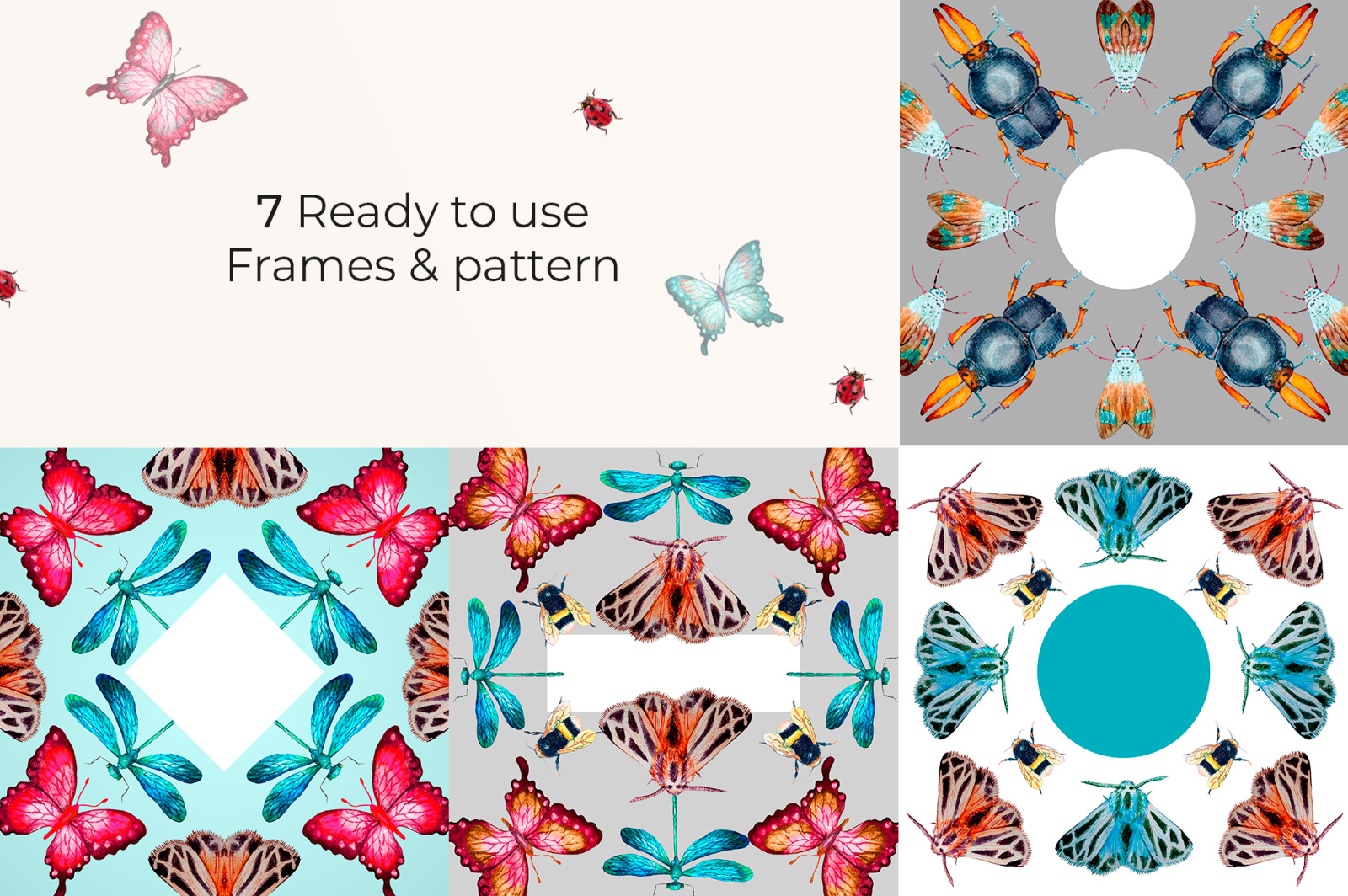 Watercolor Insect Clipart collection Watercolor Insect Clipart collection