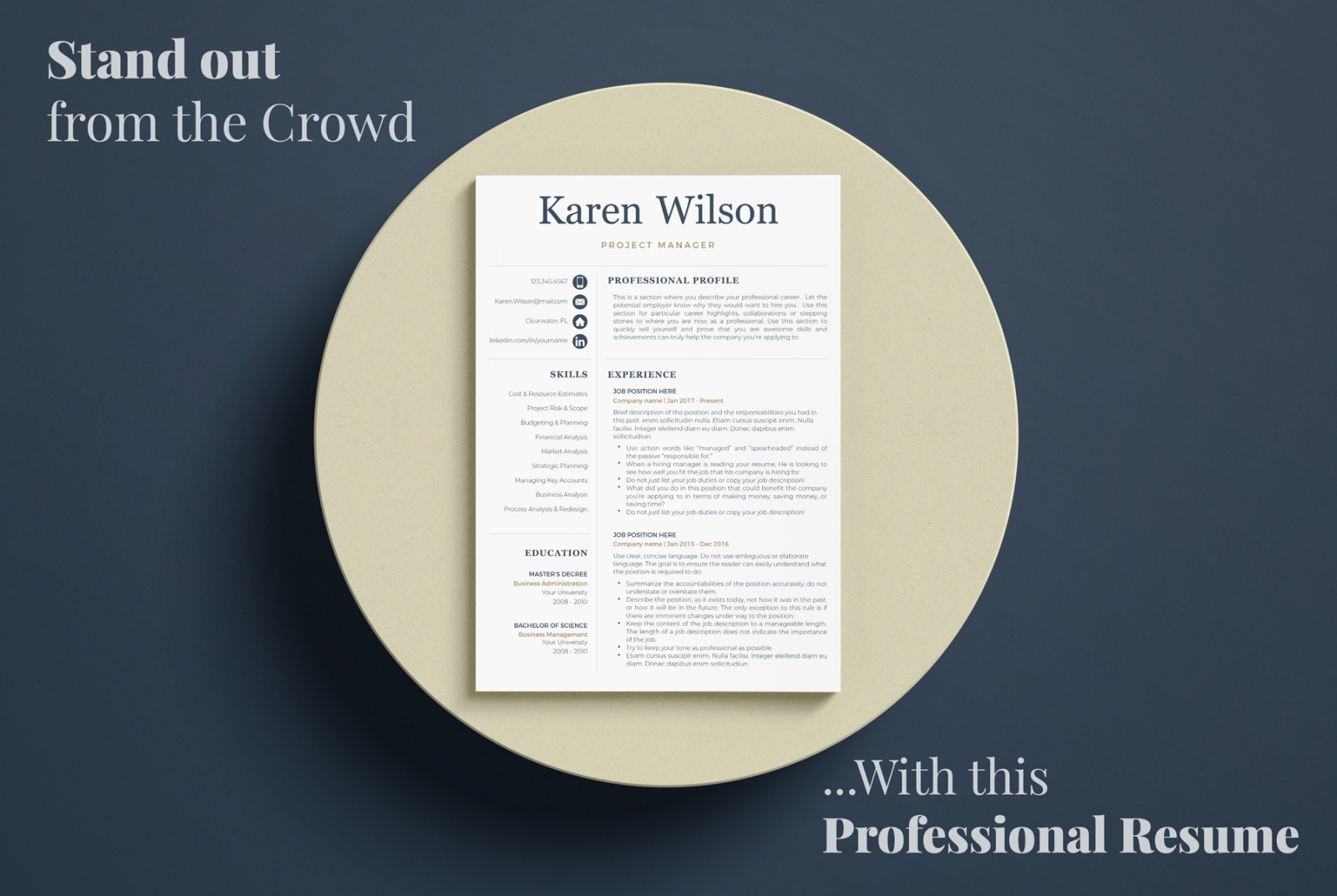 Professional Resume for project managers. Resume + Cover Letter + References + Career tips + icons