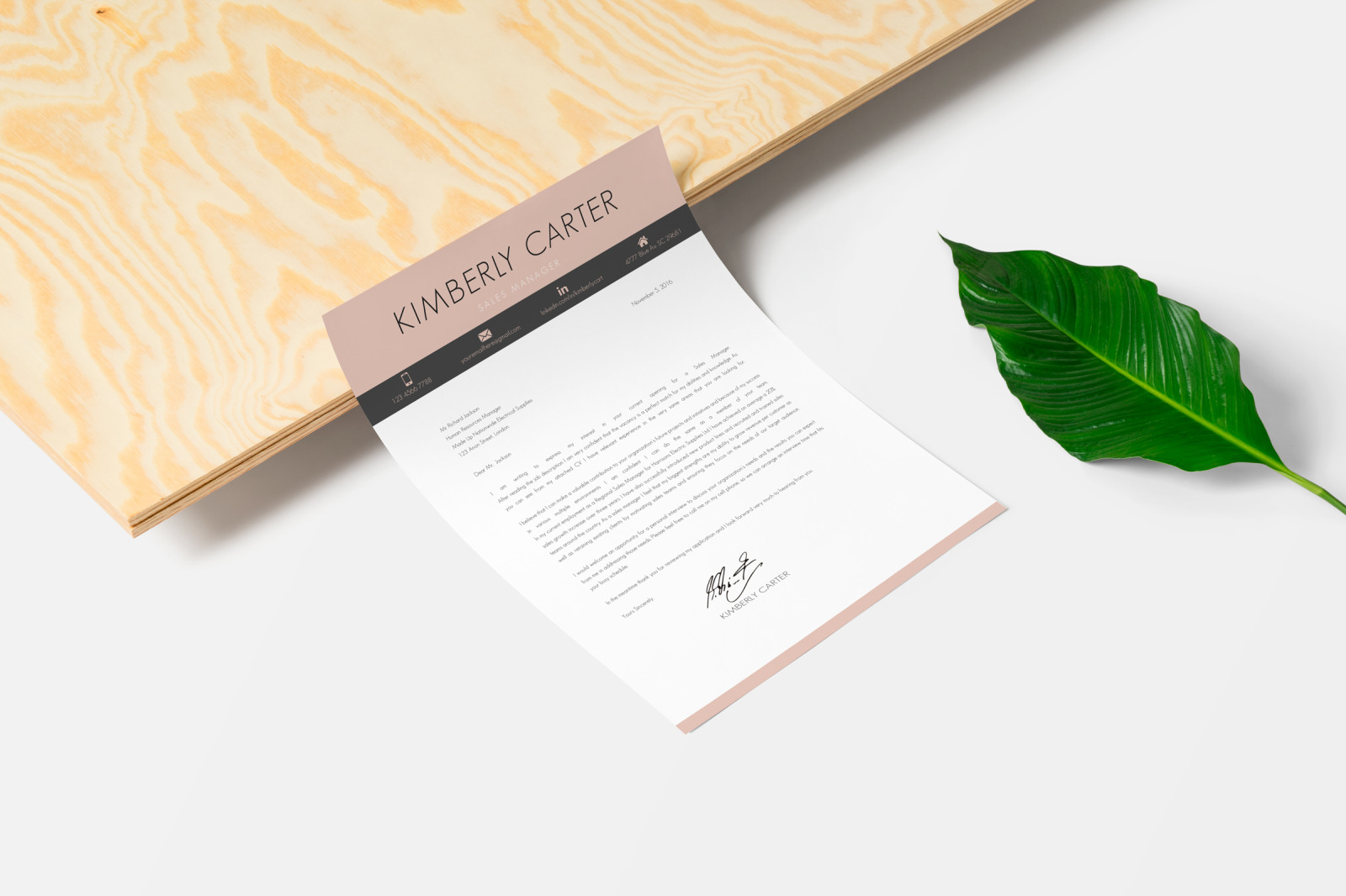 Modern CV template with photo for Sales Manager. CV, Resume + Cover Letter + References + icons