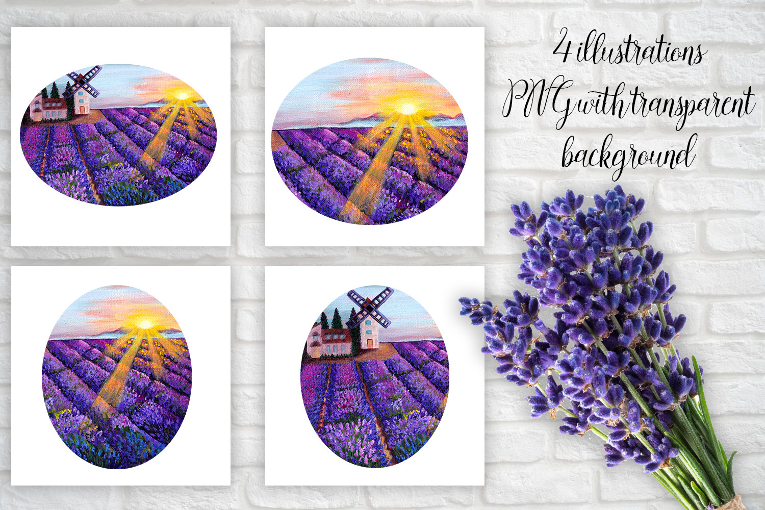 Provence Rhapsody Collection