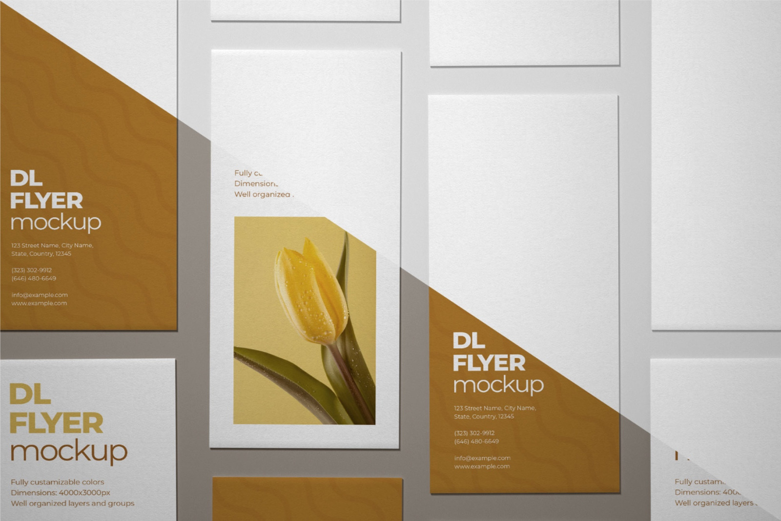 DL Flyer Mockup Set DL Flyer Mockup Set