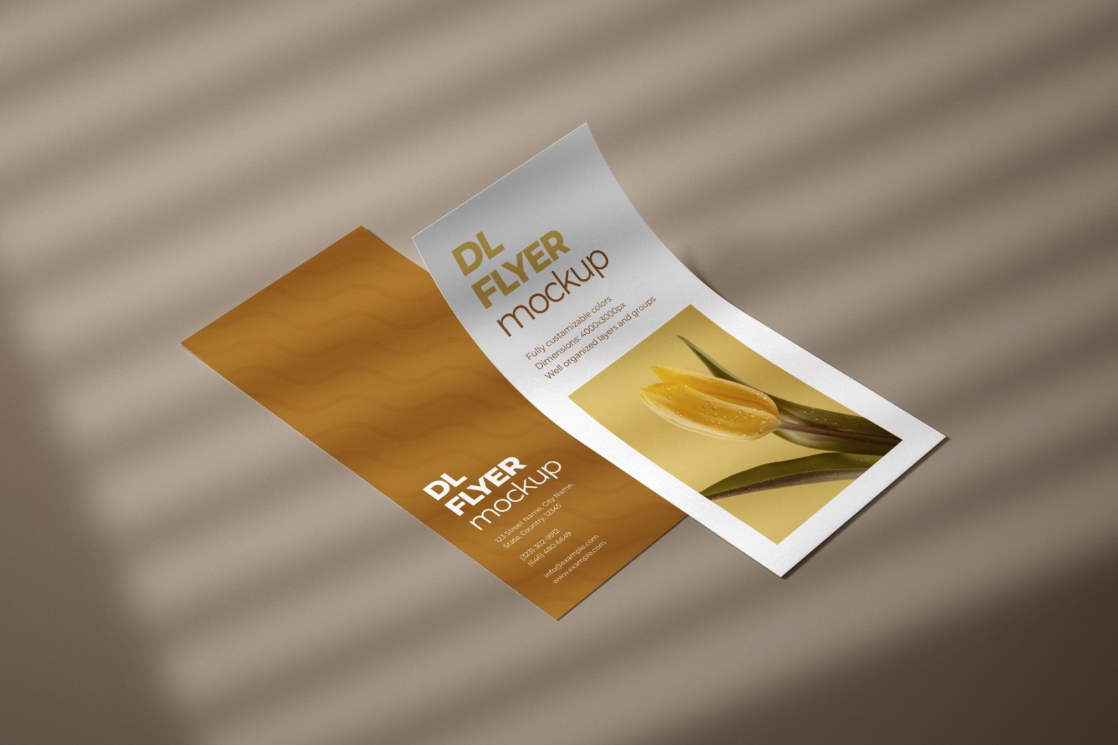 DL Flyer Mockup Set DL Flyer Mockup Set