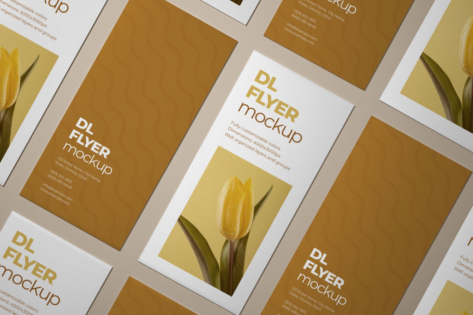 DL Flyer Mockup Set DL Flyer Mockup Set