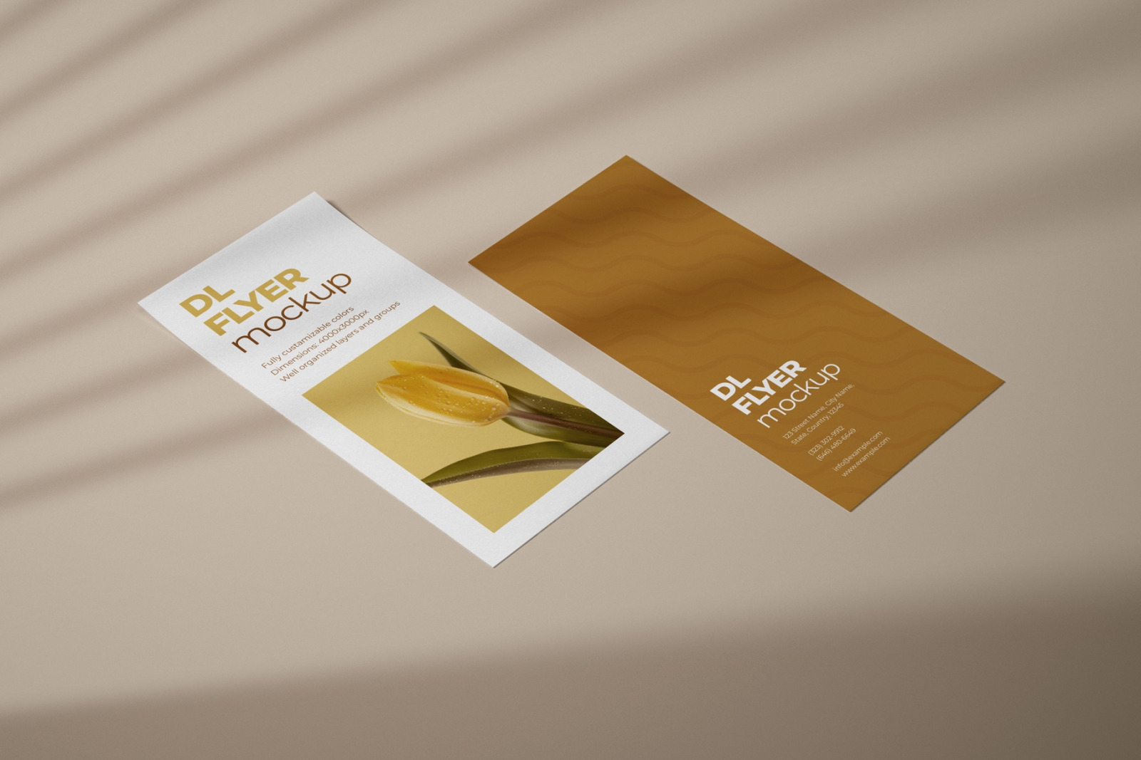 DL Flyer Mockup Set DL Flyer Mockup Set