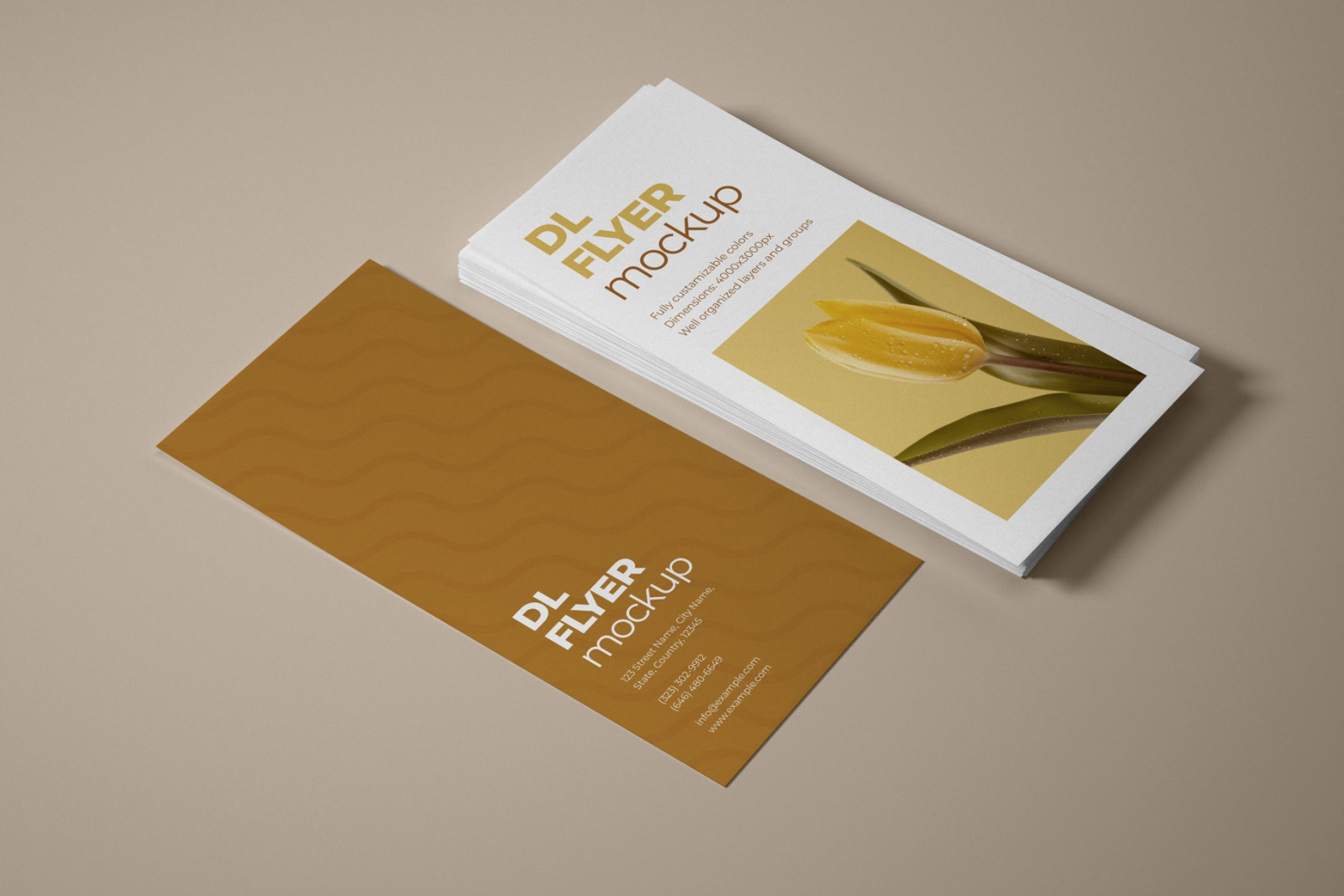 DL Flyer Mockup Set DL Flyer Mockup Set