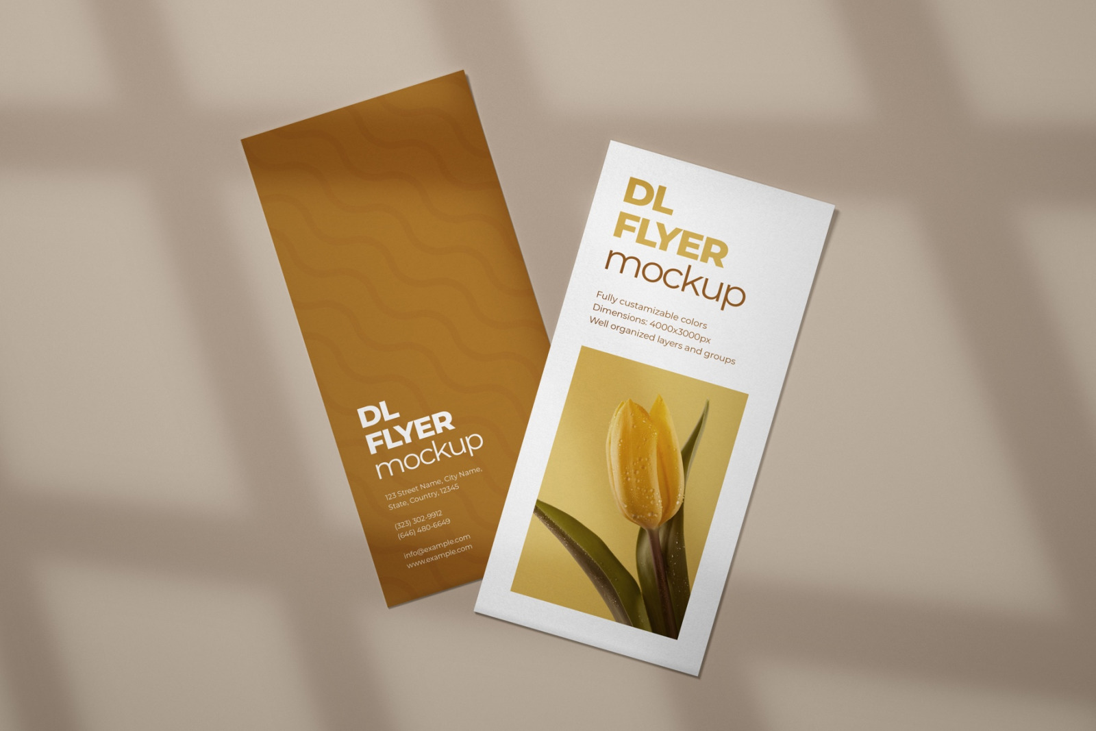 DL Flyer Mockup Set DL Flyer Mockup Set