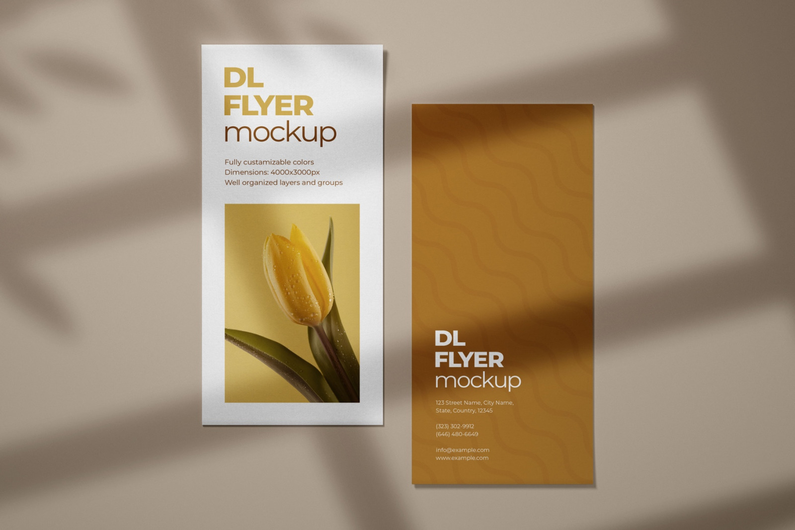 DL Flyer Mockup Set DL Flyer Mockup Set